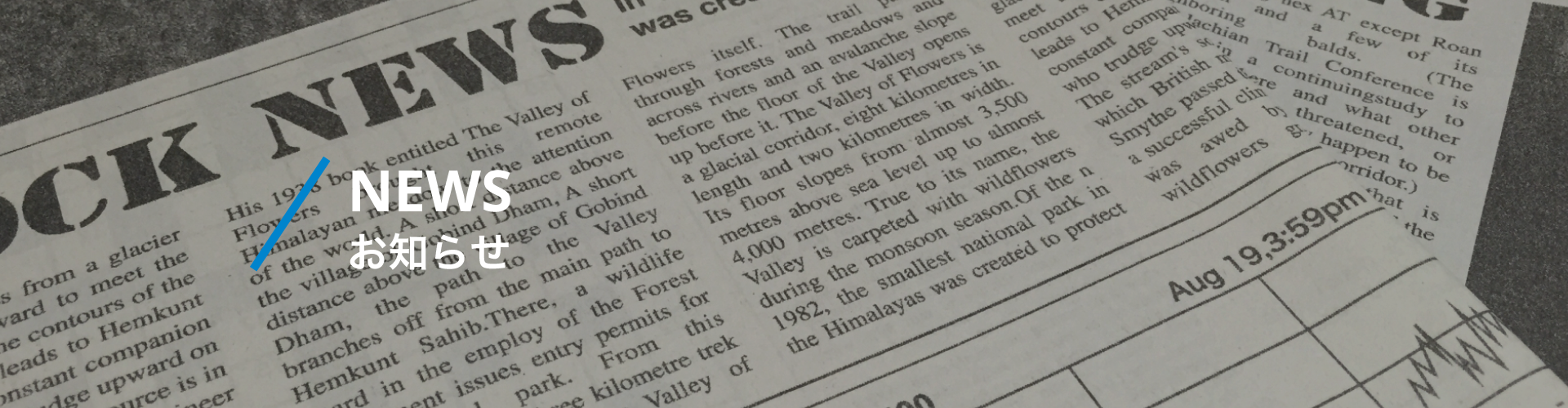 COMPANY お知らせ